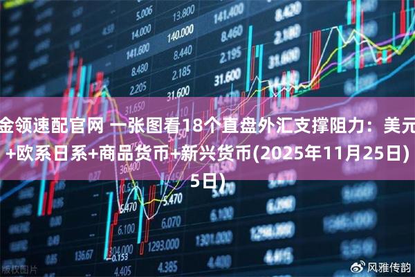 金领速配官网 一张图看18个直盘外汇支撑阻力：美元+欧系日系+商品货币+新兴货币(2025年11月25日)