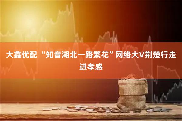 大鑫优配 “知音湖北一路繁花”网络大V荆楚行走进孝感