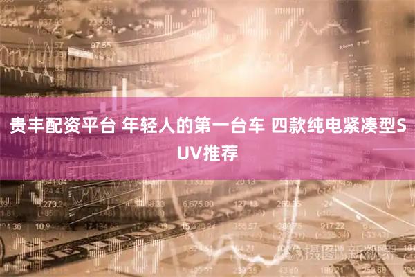贵丰配资平台 年轻人的第一台车 四款纯电紧凑型SUV推荐