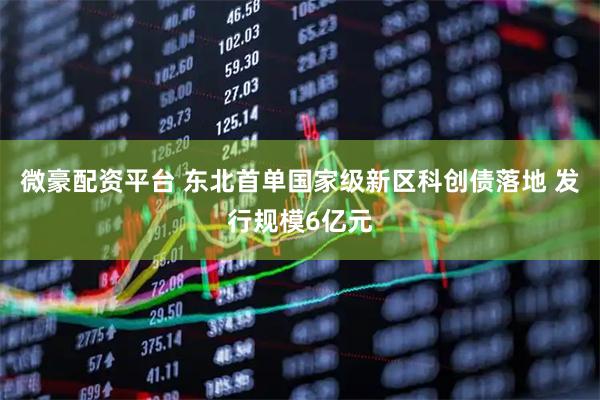 微豪配资平台 东北首单国家级新区科创债落地 发行规模6亿元